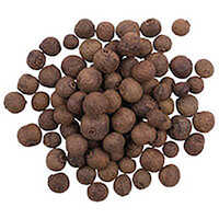 Allspice (pimento Berry) Oil - Age Group: Adults