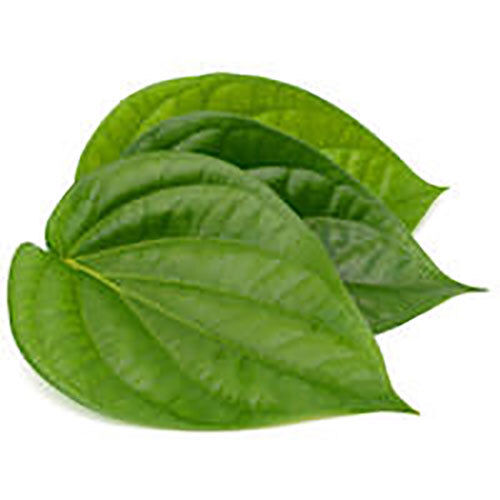 BETEL LEAF OIL