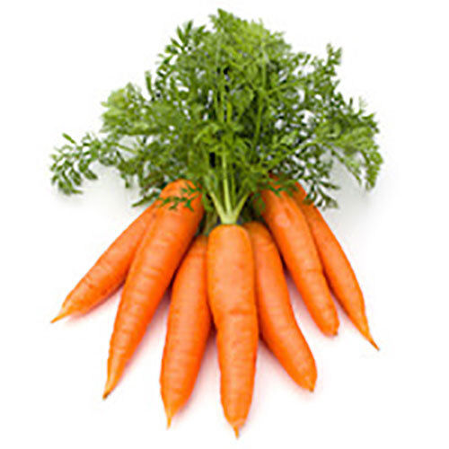 HELIO CARROT ROOT OIL