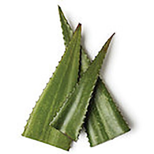 Aloe Vera Hydrosol - Ingredients: Herbs