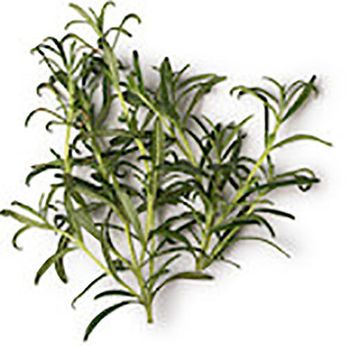 ROSEMARY HYDROSOL