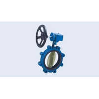 Cast Iron Butterfly Valve Wafer Type - Standard Size, Round Shape, Blue Color | 1-Year Warranty, Industrial Use, Durable Cast Iron Construction