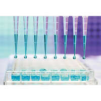 Laboratory Micropipette Tips - Color: Transparent
