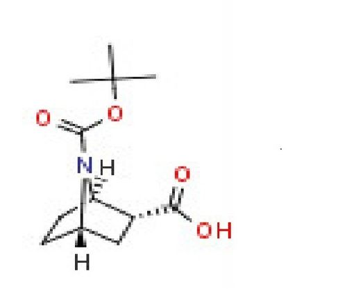 2R-7-Aza-bicyclo[2.2.1]heptane-2,7-dicarboxylic acid 7-tert-butyl ester