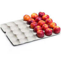 Apple Tray Paper Pulp Packaging - Color: White