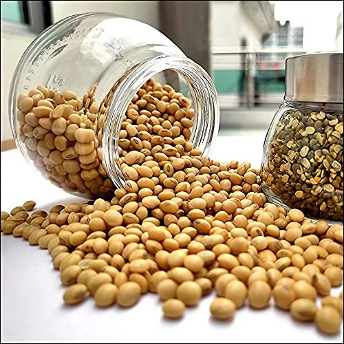 Croco Jar 300ml Oval Shape Spice Glass Jars - Color: Transparent