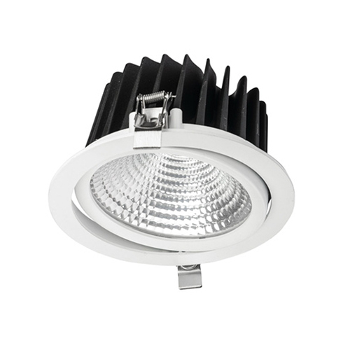 Blaze Tilt Downlight