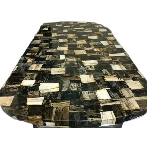 Black Petrified Wood Slab