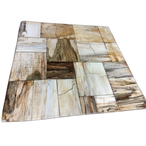 Yallow Petrified Wood - Product Type: Natural Stone