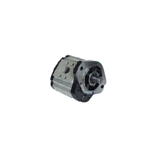 Group 2A Gear Pump - Color: As Per Requirement