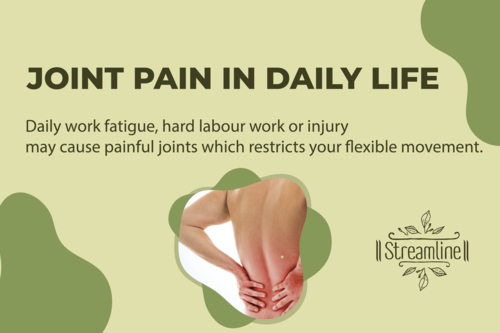 Go-pain Bottle - Ingredients: Effective For Managing Pain