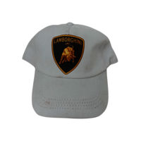 promotional sports cap