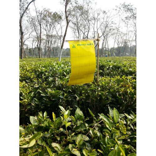 Yellow Pest Glue Sticky Trap