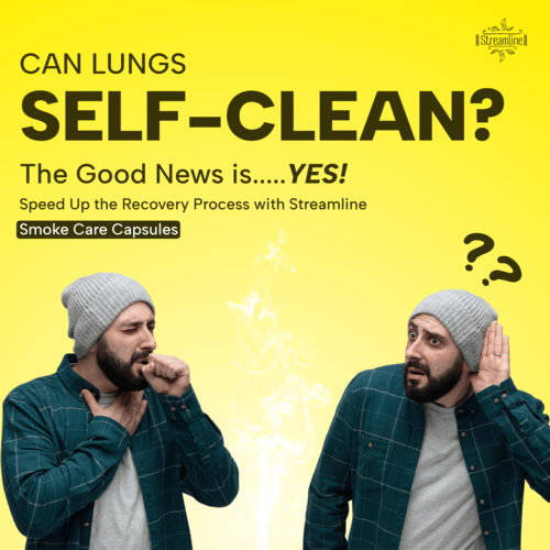 Smoke Care - Age Group: For Adults
