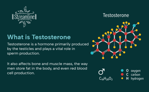 Testo Booster - Natural Herbal Capsules | Immunity Support, Stamina Enhancement, Stress Relief, Hormonal Balance, Energy Boost