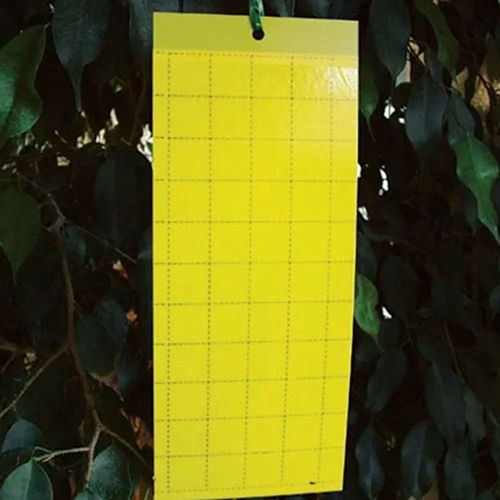 Yellow Pest Glue Sticky Trap