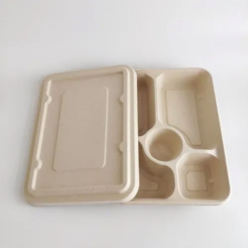 Paper Bagasse Container - Color: Off White