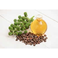 Organic Castor Oil - Purity(%): 99