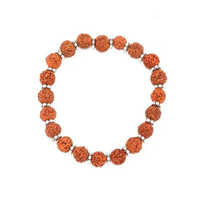 Natural 5 Mukhi Rudraksha Beads Bracelet