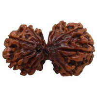 Original Gauri Shankar Rudraksha - Jewelry Type: Bead