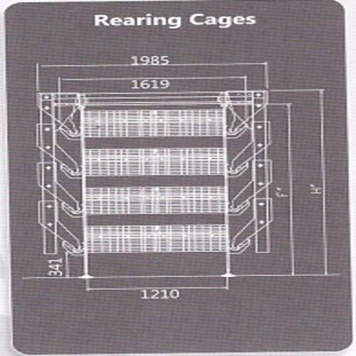 Poultry Rearing Cages For Layers & Breeders - Feature: Good Quality