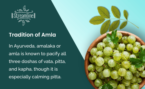 Amla Capsules - Herbal Ingredients, 1-2 Capsules Twice Daily | Antioxidant, Immune Booster, Energy Support, Blood Purification