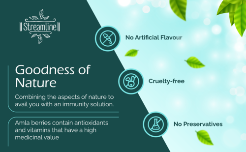 Amla Capsules - Herbal Ingredients, 1-2 Capsules Twice Daily | Antioxidant, Immune Booster, Energy Support, Blood Purification