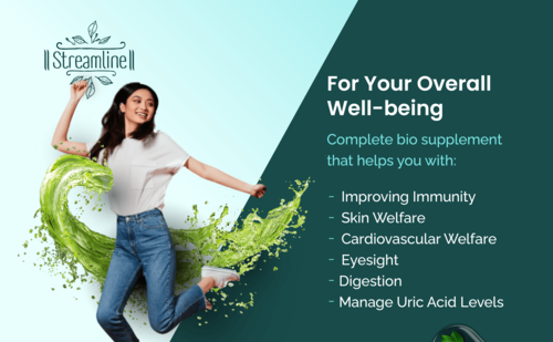 Amla Capsules - Herbal Ingredients, 1-2 Capsules Twice Daily | Antioxidant, Immune Booster, Energy Support, Blood Purification