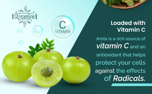Amla Capsules - Herbal Ingredients, 1-2 Capsules Twice Daily | Antioxidant, Immune Booster, Energy Support, Blood Purification