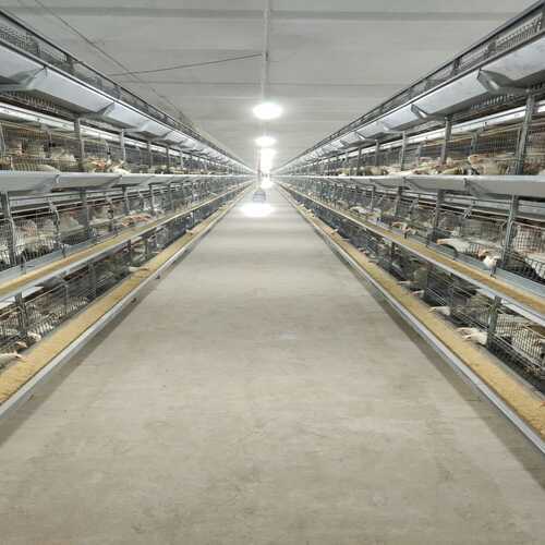 Poultry Boiler Breeder Battery Cages - Color: Gray