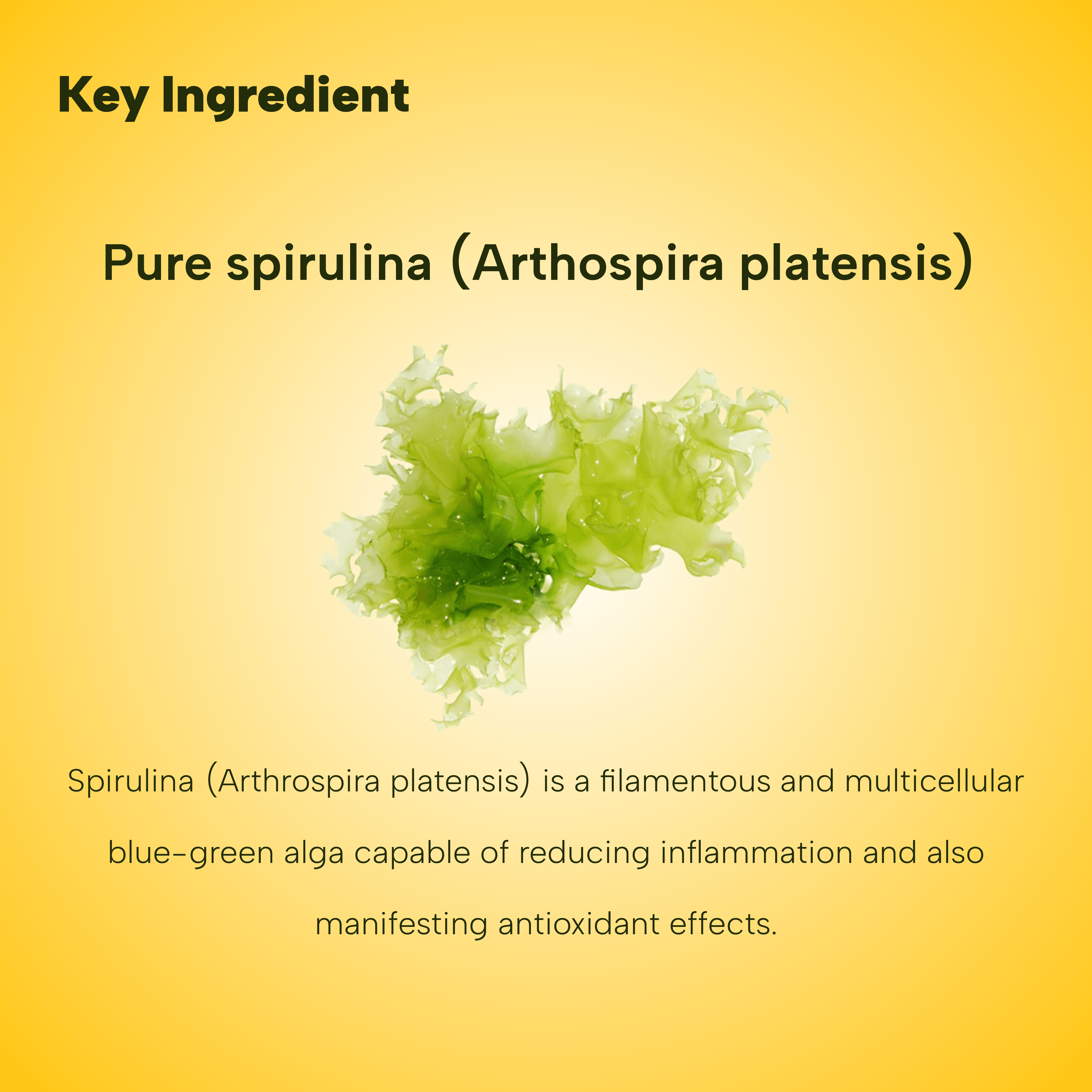 Streamline Spirulina - Age Group: For Adults