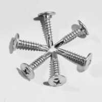 Ss Drilling Screw - Color: As Per Requirement