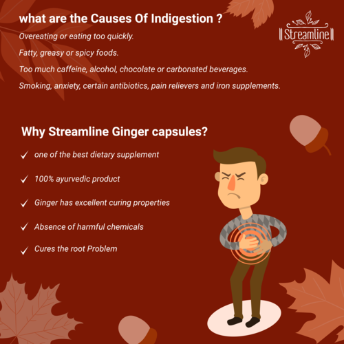 Ginger Capsules - Adult Use, 1-2 Capsules Daily | Digestive Support, Immune Boost, Antioxidant-rich, Anti-inflammatory Properties
