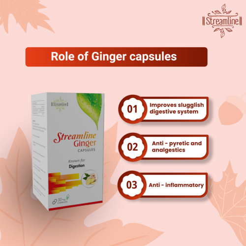 Ginger Capsules - Adult Use, 1-2 Capsules Daily | Digestive Support, Immune Boost, Antioxidant-rich, Anti-inflammatory Properties
