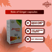 Ginger Capsules