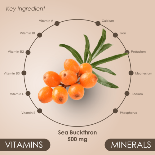 Sea Buckthron Capsules - Age Group: For Adults