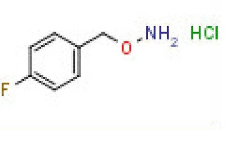 1-[(ammoniooxy)methyl]-4-fluorobenzene Chloride