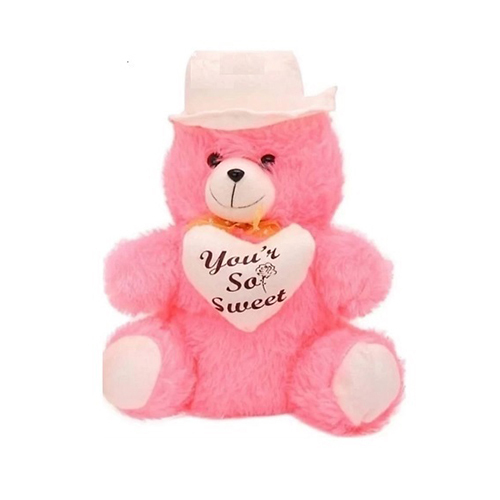 Pink Teddy Soft Toy