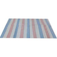 HDPE Unlaminated Colour Strips Fabric