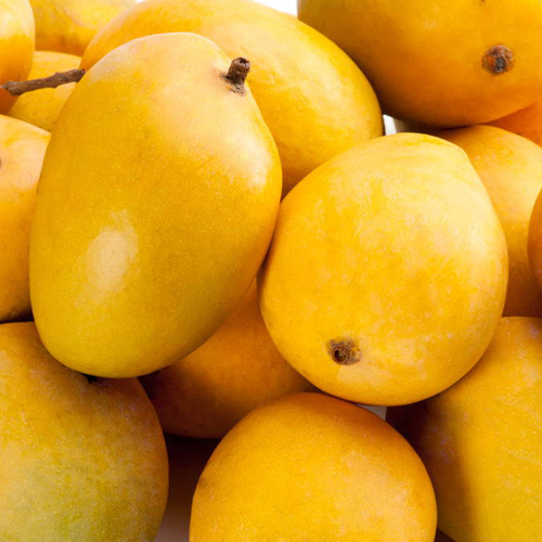 AlphonsoFresh Mango