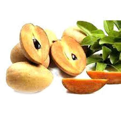 Fresh Organic Sapota