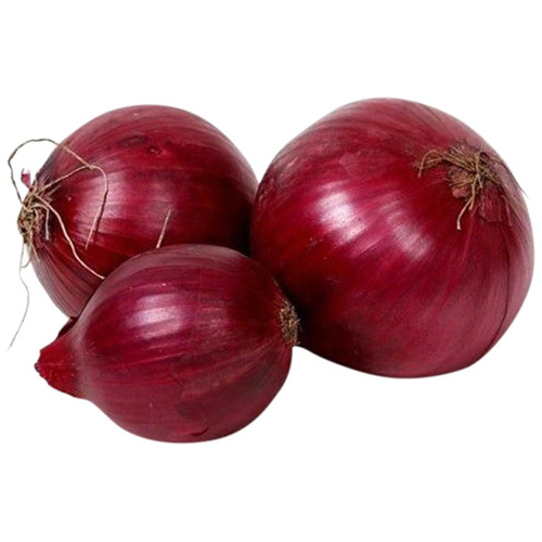 Fresh Onion