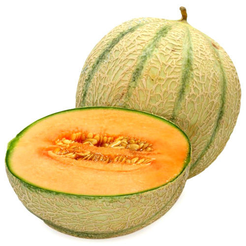 Fresh Musk Melons - Cultivation Type: Organic