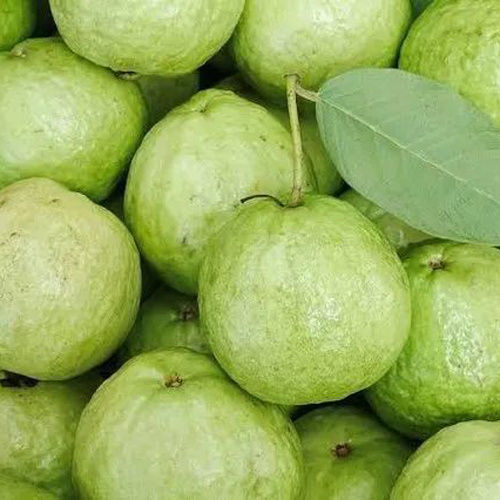 Fresh Guavas - Color: Green