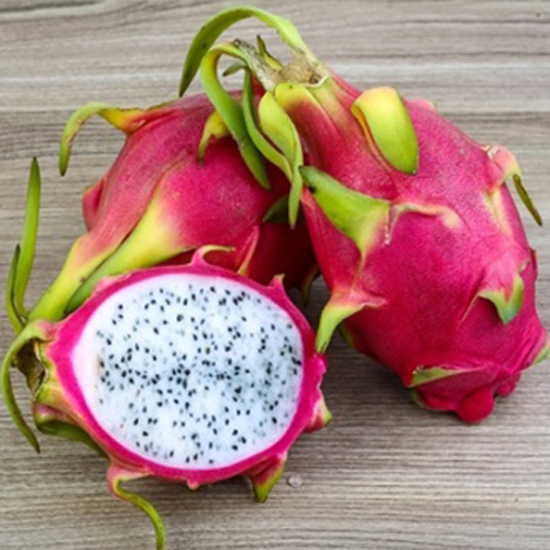 Fresh Dragon Fruits
