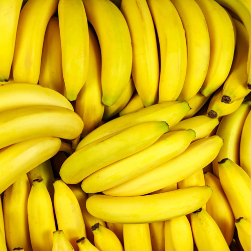 Fresh Organic Bananas