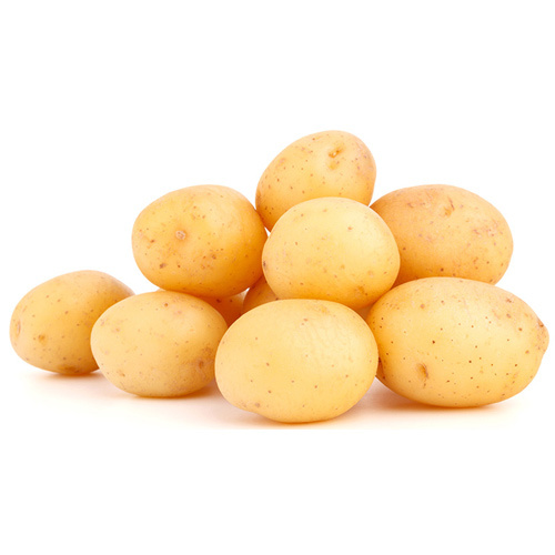 Fresh Potatoes