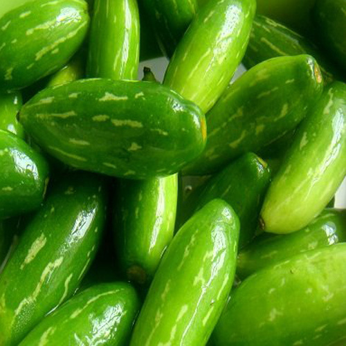 Fresh Ivy Gourd