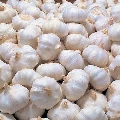 Fresh Garlic - Preserving Compound: Chemical Preservatives As Per Norms