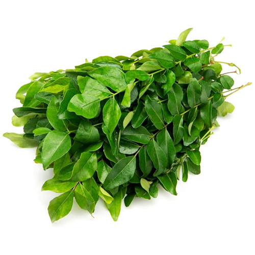 Fresh Curry Leaves